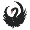 Black Swans Exist