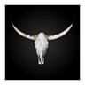 Vier für Texas