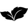 MainTea GmbH