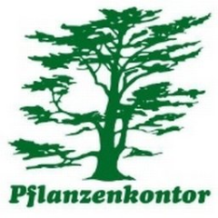 Immo Herbst GmbH